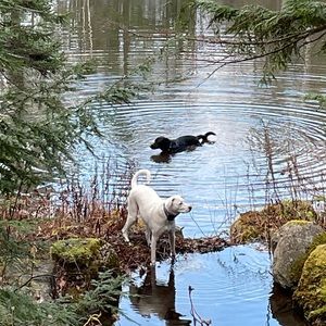 Meet your Posher, Helena